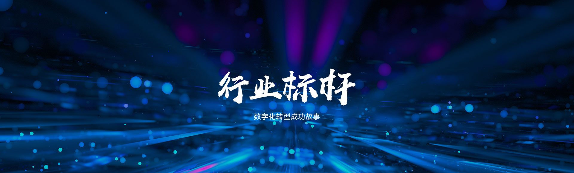 行业标杆 - 数字化转型成功故事