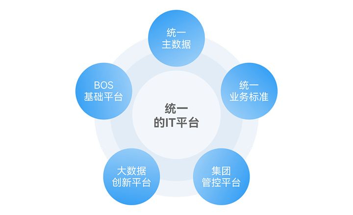建立集团化的业务运营与管控平台
