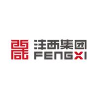 沣西集团