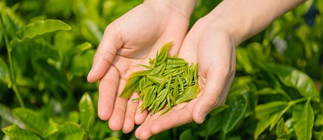 天福茗茶:生产到销售终端全面数字化