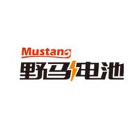 浙江野马电池股份有限公司